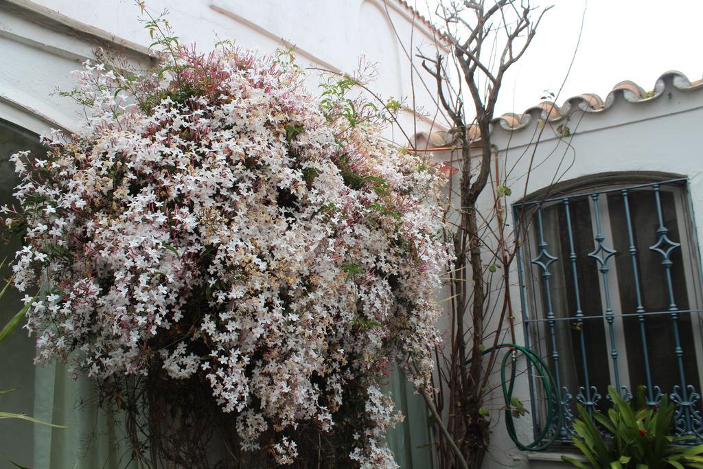 Casa Colonia Villa La Línea de la Concepción Kültér fotó